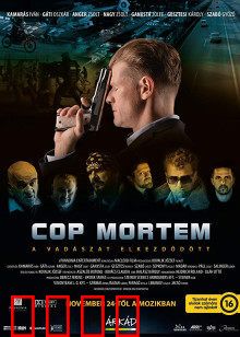 怒火警探：正义复仇