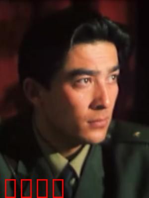 阿娜的生日：一场跨越时空的约定