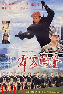 霹雳凤凰：女警逆袭传奇