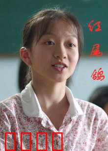 红尾鸽：信使重生