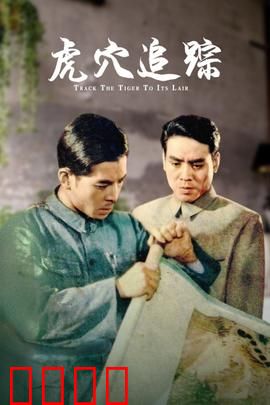 虎穴追踪：深入匪巢的智勇之战