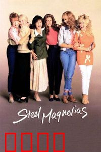 钢木兰花：南方小镇的温情史诗