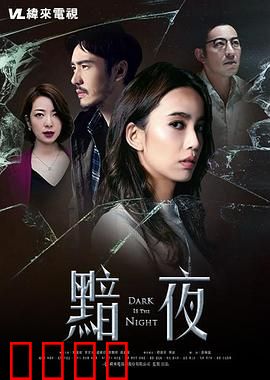 黯夜：暗夜追凶