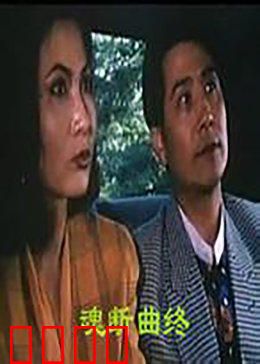 魂断曲终：爱恨交响