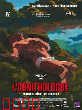 鸟类学家：森林中的信仰陷阱