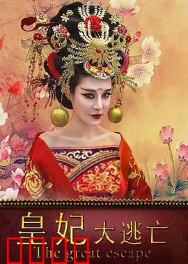 皇妃大逃亡：浴火重生之路