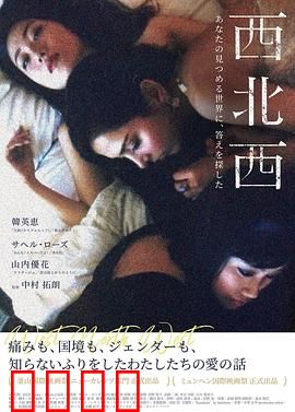 西北西：卧底迷局