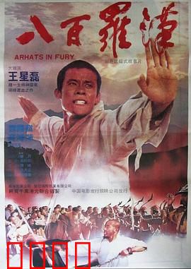 八百罗汉：少林绝境反击