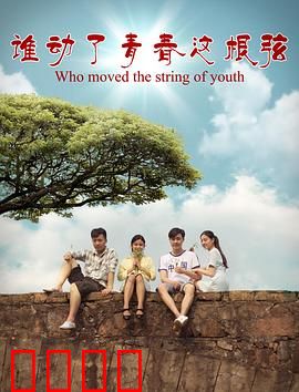 谁动了青春这根弦：弦断音未了