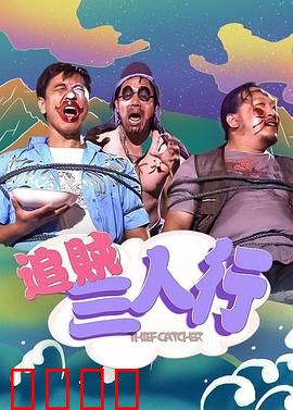 追贼三人行：都市侠盗情