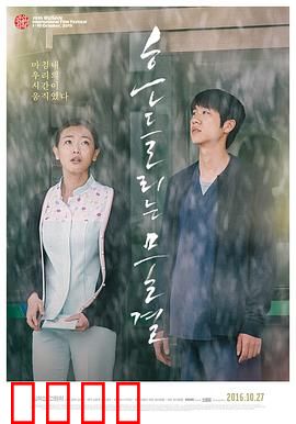 绽放2015：舞者之梦