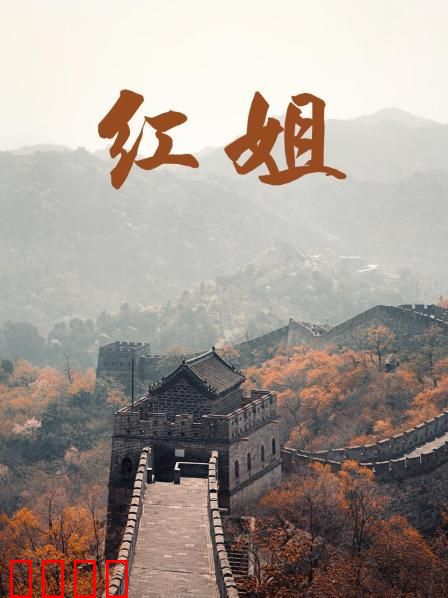 红姐2017：女警破冰行动