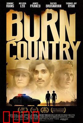 燃烧的国土：觉醒的反击