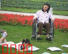 小小心愿：梦想的翅膀