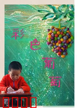 彩色葡萄：梦境中的甜蜜与苦涩