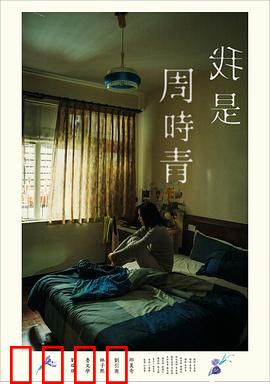 我是周时青：失忆中的救赎