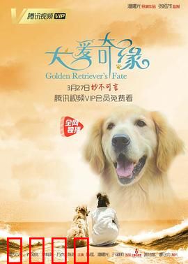 犬爱奇缘：忠诚与爱的奇迹