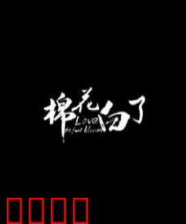 棉花白了：被遗忘的承诺