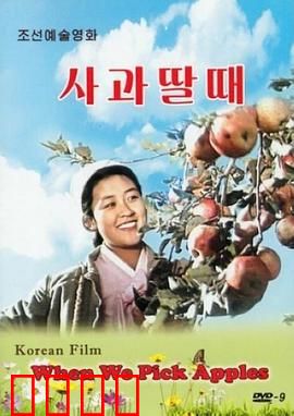 摘苹果的时候：丰收的青春