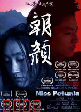 朝颜：一朵花的觉醒