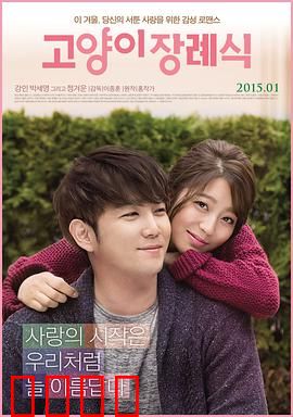 猫的葬礼：爱与告别