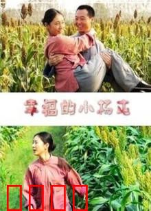 幸福的小杨屯：村民齐心致富路
