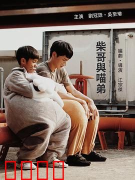 柴哥与喵弟：暖心冒险