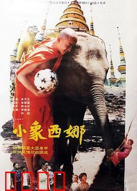 小象西娜：母爱与成长