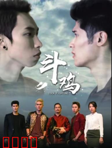 斗鸡：人性赌局