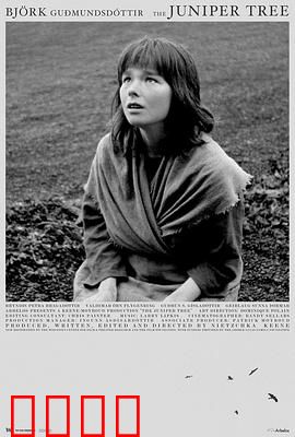 女巫恋人：魔咒之恋