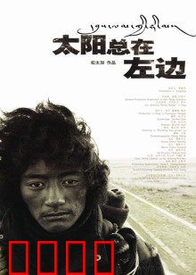 太阳总在左边：沙漠中的方向