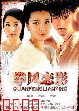 拳风恋影：铁拳下的温柔