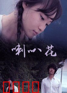 牵牛花：绽放的生命力