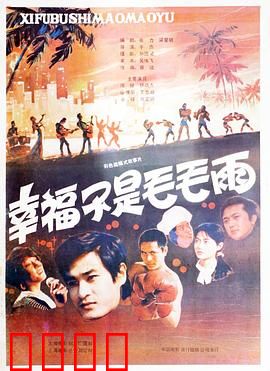 幸福不是毛毛雨：农村改革启示录