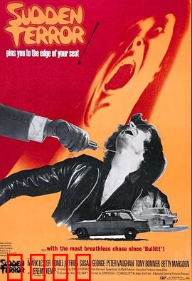 小英雄与大刺客：侠义传承