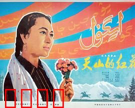 天山的红花：草原巾帼风云