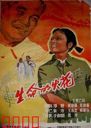 生命的火花：逆袭人生