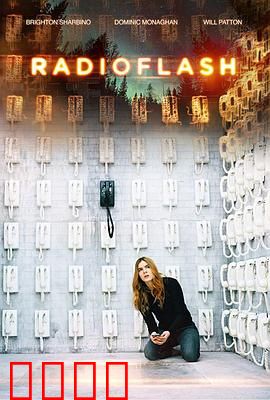 电磁脉冲：末日危机