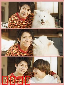 爱你汪汪：忠犬恋歌