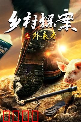 乡村探案之外来者：迷雾中的真相