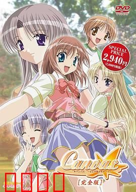 Canvas ～茶色的主题～：美术生的告白