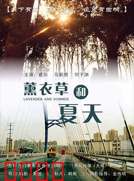 薰衣草和夏天：浪漫邂逅