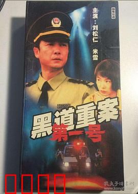 警匪较量珠三角：正义终将到来