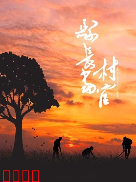 县长当村官：扎根基层显担当