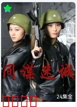 间谍迷城：致命密码