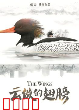 云做的翅膀：追寻自由之梦