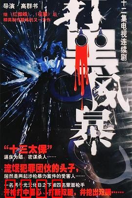 打黑风暴：正义不缺席