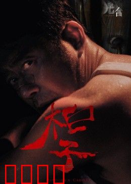 光合计划：绿色能源战争