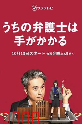 我家的律师很麻烦：笑中带泪的律政喜剧