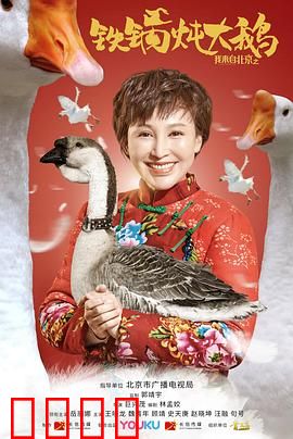 我来自北京之铁锅炖大鹅：返乡囧途笑翻天